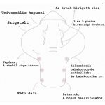 Kocsitakaró / Pólya / Royal Baby  / pink